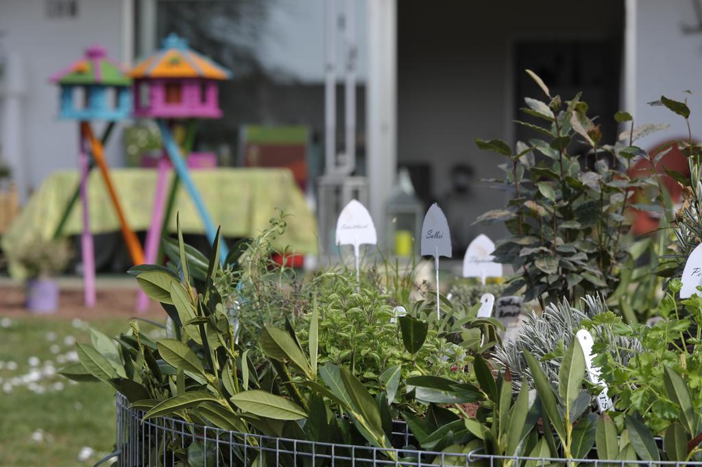 Gaestewohnung Tausendschoen Hargesheim Exteriör bild